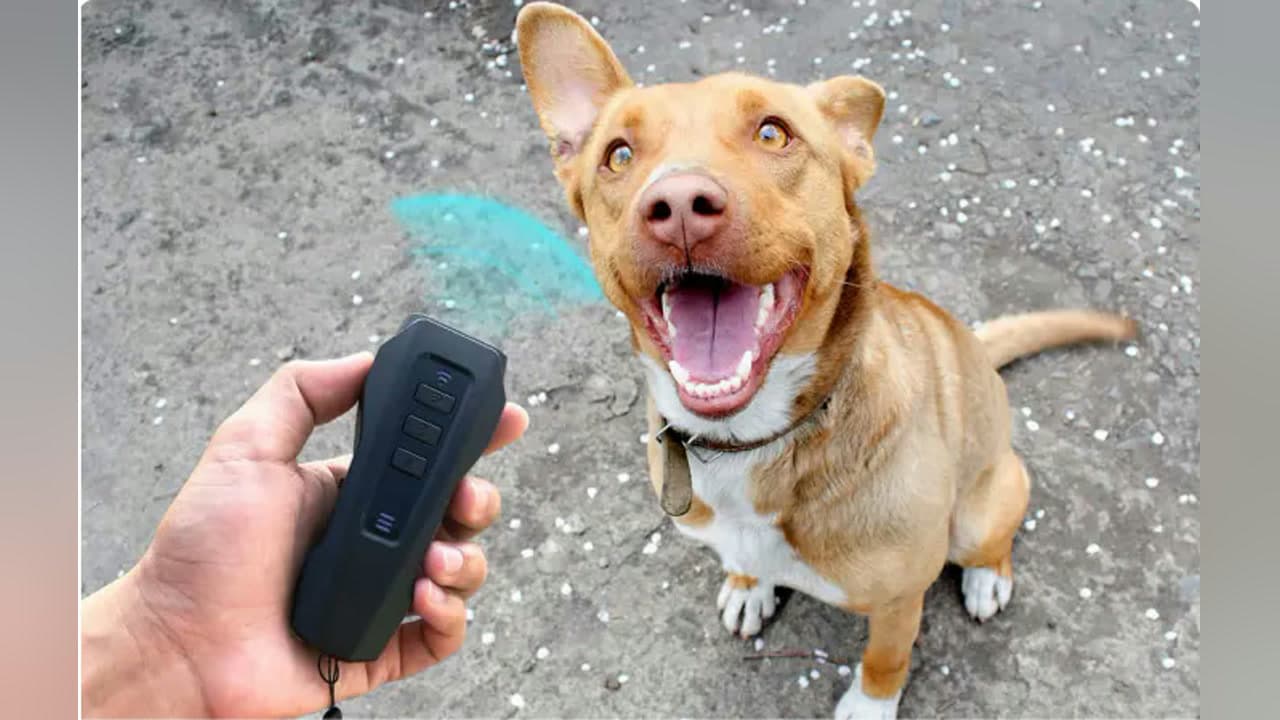 BarxBuddy Trainer Gen 2 Ultrasonic Dog Training Device