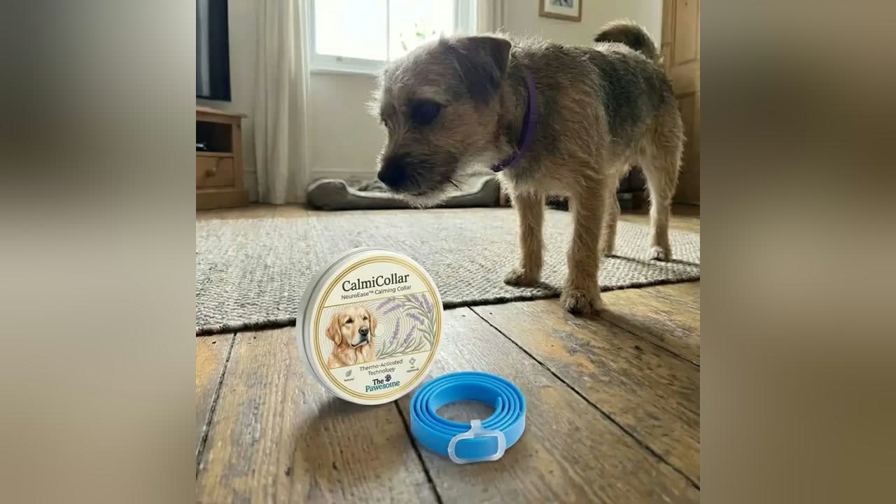 CalmiCollar Pheromone Calming Collar for Dogs