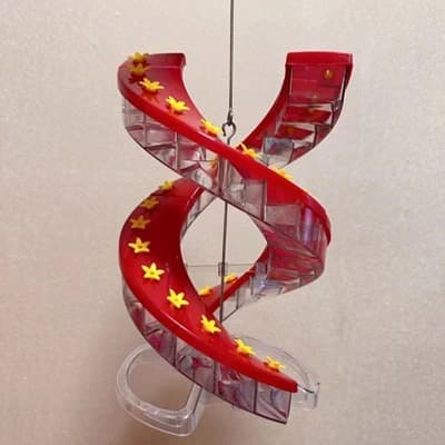 DNA Helix Hummingbird Feeder Review: Is the 32-Port Nectar Feeder Worth It?
