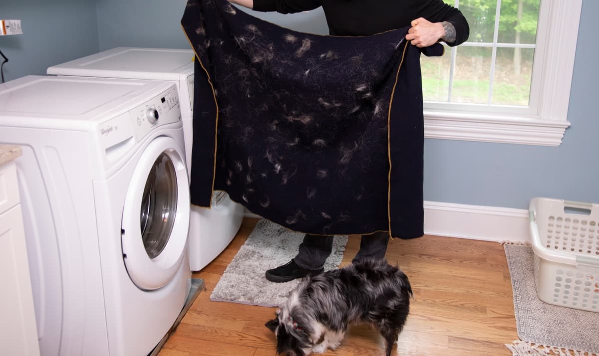FurZapper Review: The Laundry Disc That Ends Pet-Hair Clothes