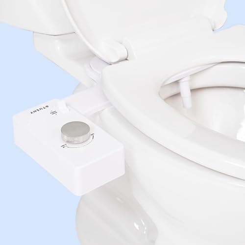 TUSHY Classic Review: The Bidet Attachment That Installs in 10 Minutes