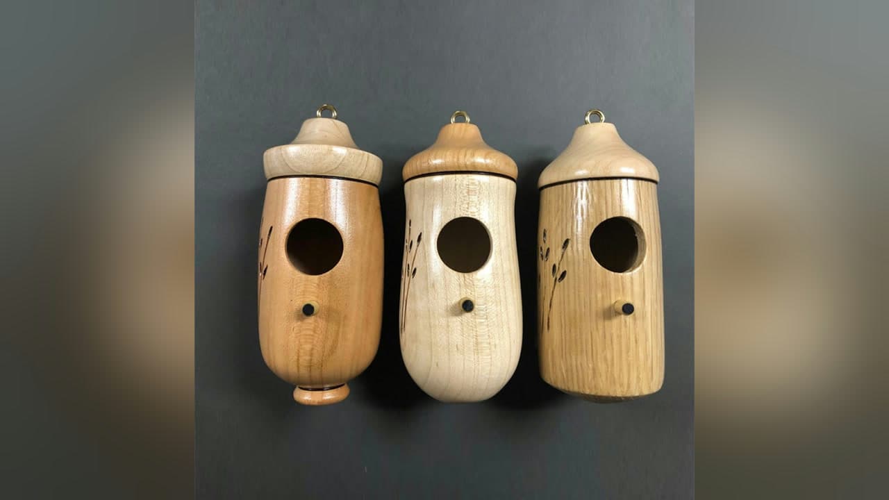 Vueeze Hummingbird House Review: Do Hummingbirds Use It?