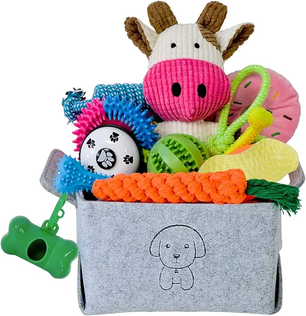 Pet Supplies